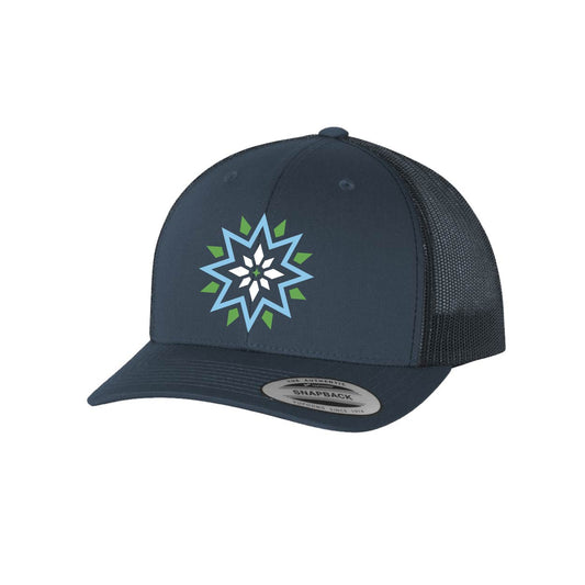 MN Star of the North Snapback